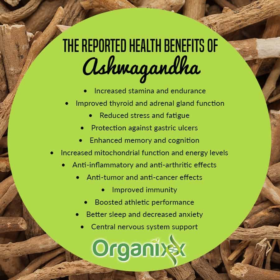 6 Health Benefits of Indian Ginseng? Ashwagandha