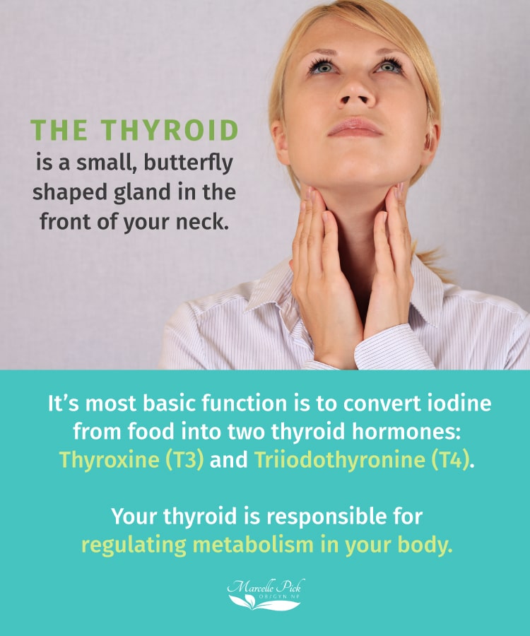 Herbs for Thyroid Support
