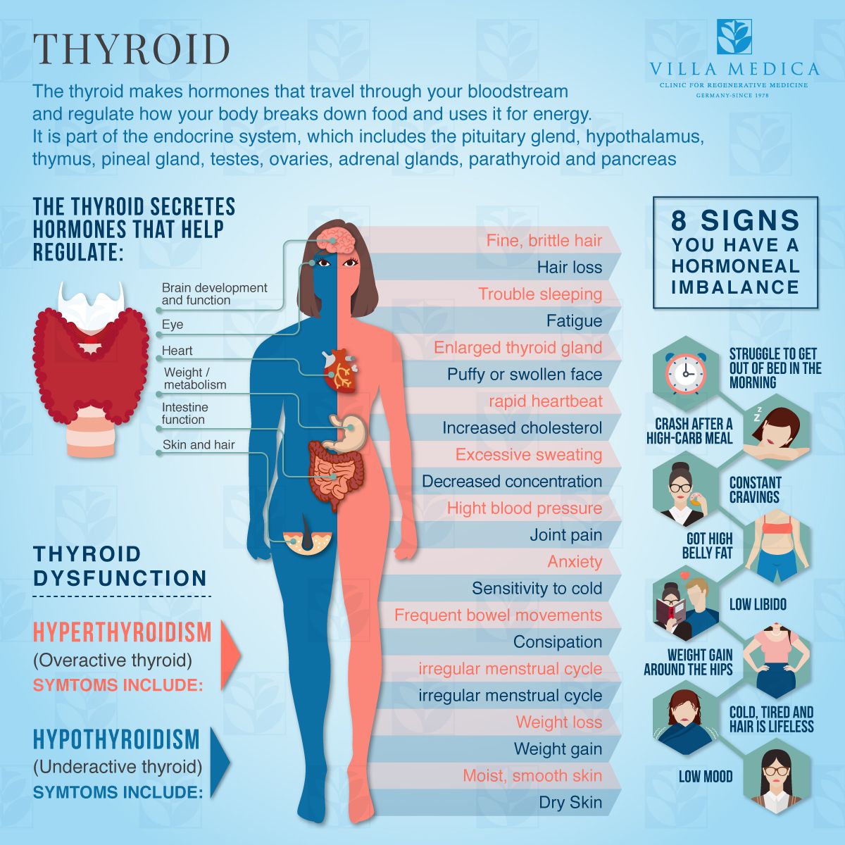 Some Women with a History of Miscarriage Have Mild Thyroid Dysfunction ...
