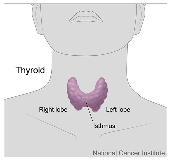 Test Identifies Thyroid Nodules That Dont Require Surgery