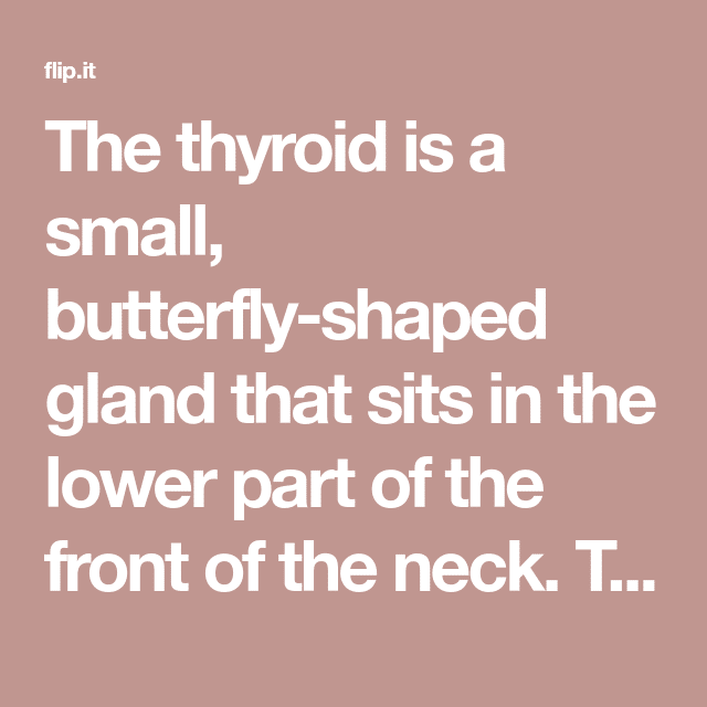 The thyroid is a small, butterfly