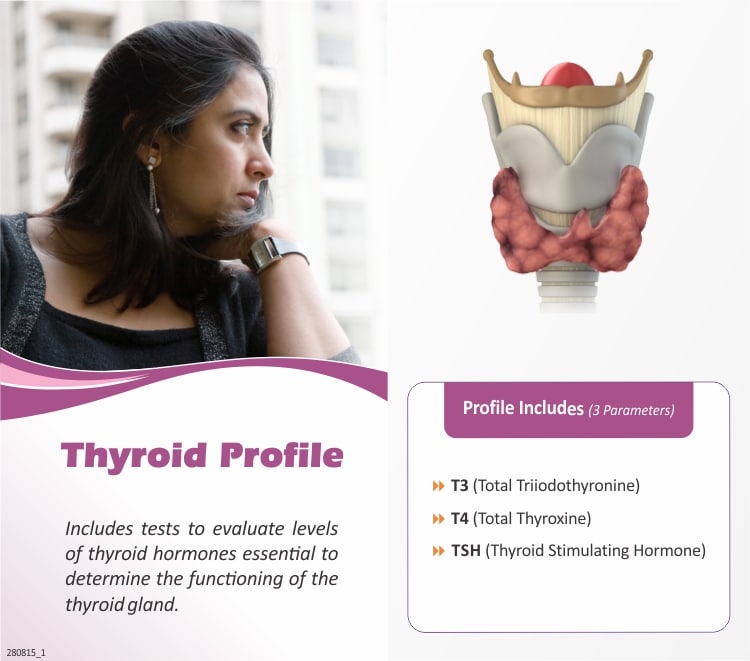 Thyroid Profiles  Wellness Care