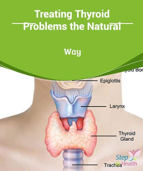 Treating #Thyroid Problems the #Natural Way Learn how to #treat thyroid ...